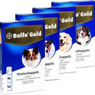Bolfo Gold
