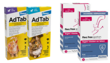 Vlooienbestrijding (kat)