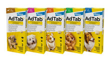 AdTab