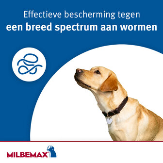 Milbemax smakelijke kauwtabletten kleine hond 4 tabletten