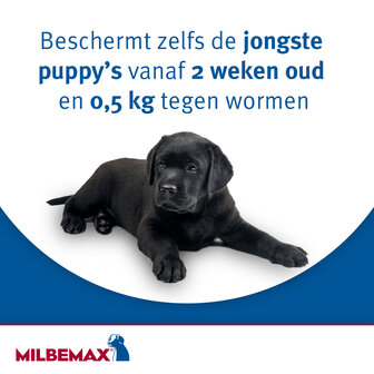 Milbemax smakelijke kauwtabletten kleine hond 4 tabletten