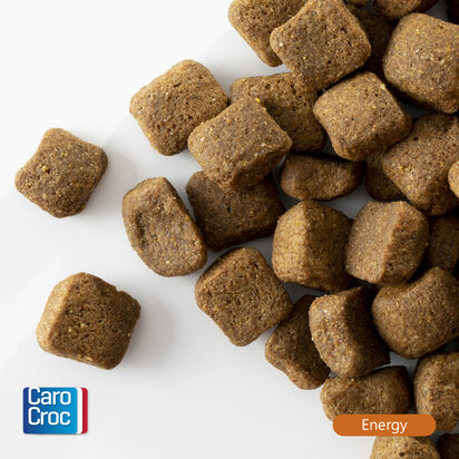 CaroCroc Energy 3 kg