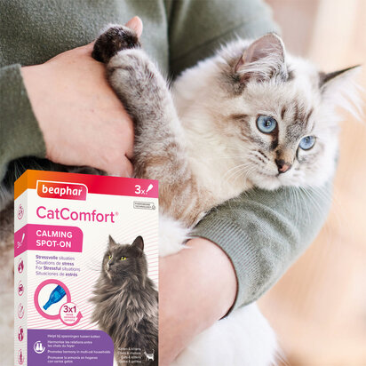 CatComfort rustgevende spot on pipet (3 stuks)