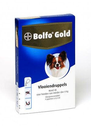 Bolfo Gold hond 40 4 pipetten