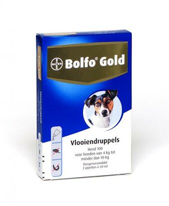 Bolfo Gold hond 100 2 pipetten