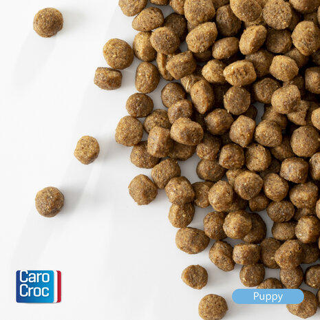 CaroCroc Puppy 3 kg