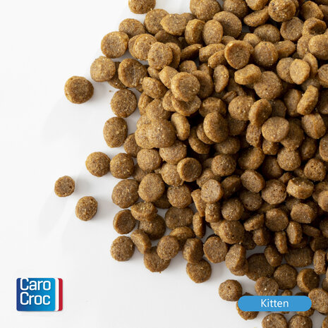 CaroCroc Kitten 2 kg