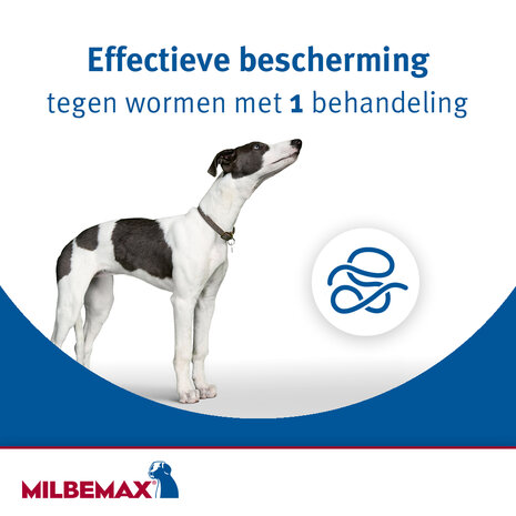 Milbemax smakelijke kauwtabletten grote hond 4 tabletten