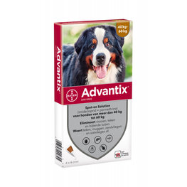 Advantix hond 600